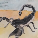 photo_2025-09-25_12-07-08