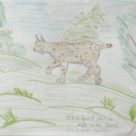 photo_2025-10-01_15-17-52-2