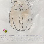 photo_2025-10-09_15-54-23-2