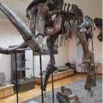 photo_2025-11-07_16-22-38