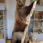 photo_2025-11-07_16-22-38-2