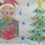 photo_2025-12-10_19-42-54