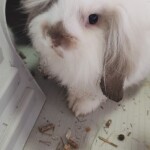 photo_2025-12-22_20-47-24-2