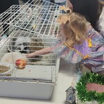 photo_2025-12-22_20-47-29