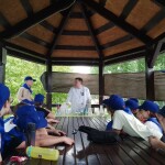 e798a32d-7e2e-48d6-8a35-118dba0e1a9c